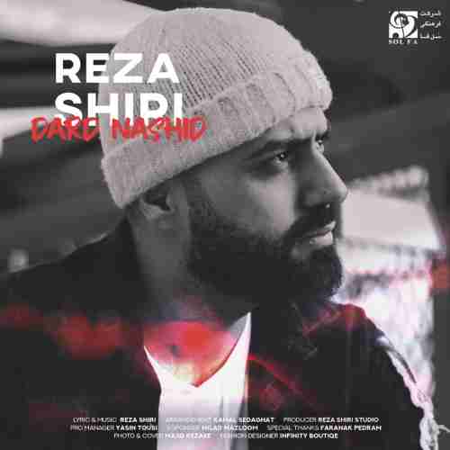 Reza Shiri Dard Nashid دانلود آهنگ رضا شیری درد نشید