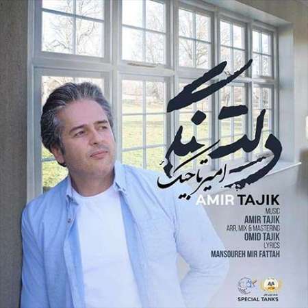 Amir Tajik Deltangi PmMusic.iR دانلود آهنگ امیر تاجیک دلتنگی